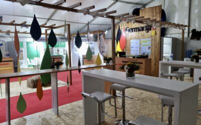 Exhibition Stand Design and Supply for German Pavilions in Africa
