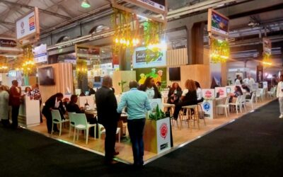 Affordable Exhibition Stand Hire Options That Don’t Compromise on Style